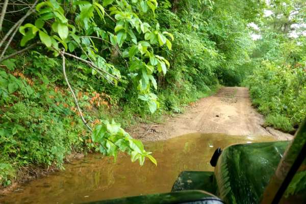 Brushy Fork Road