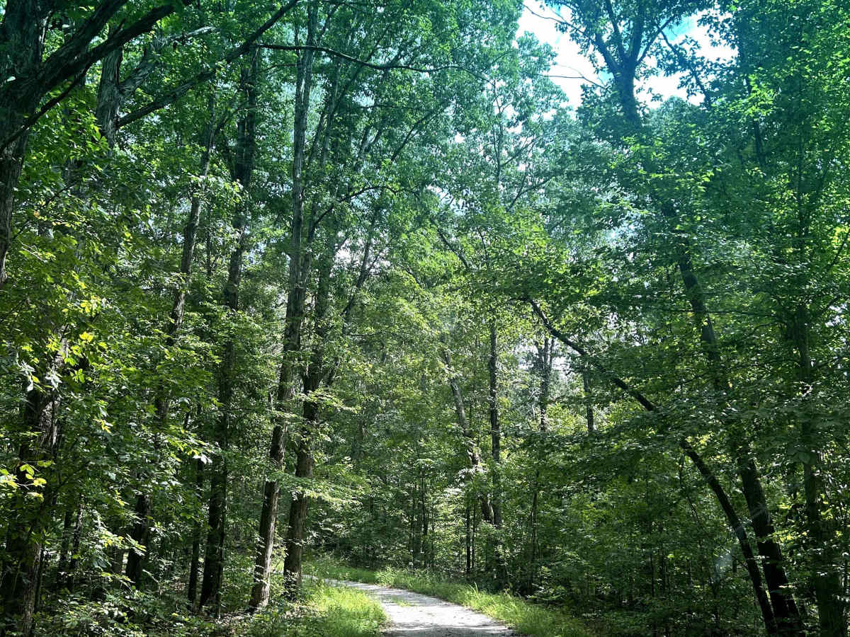 Richland Ridge Road photo 5
