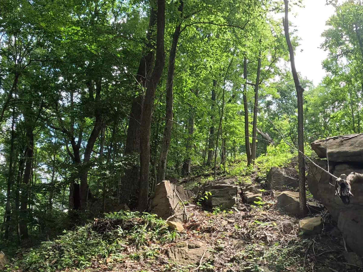 Q16A trail photo