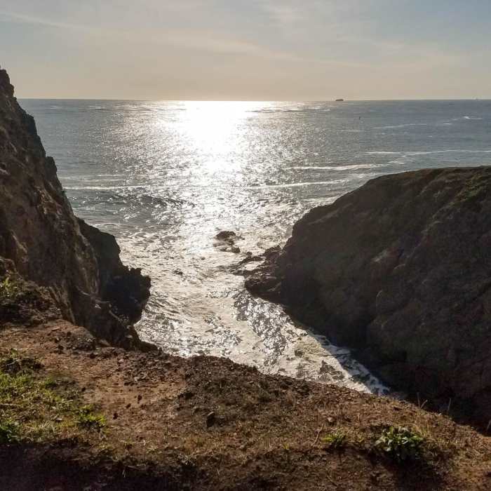 Near Fort Cronkhite Loop: Coastal, Wolf Ridge + Miwok Trails