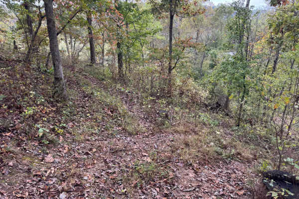 Top ‘O the Hill