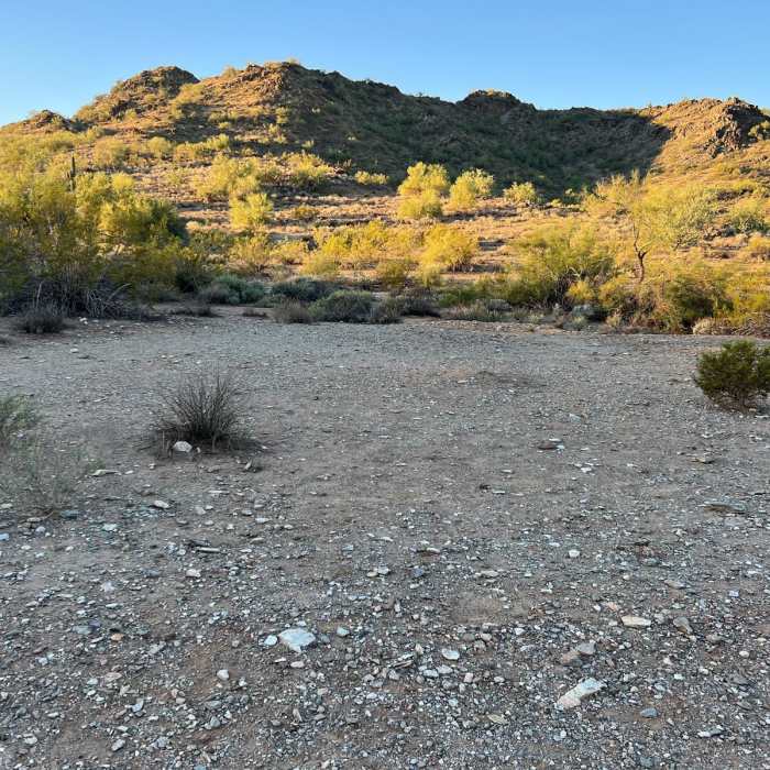 Near Shaw Butte Trail