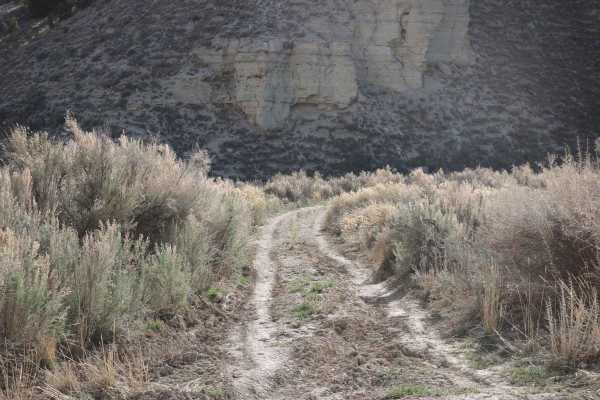 Bear Gulch - FS 10329