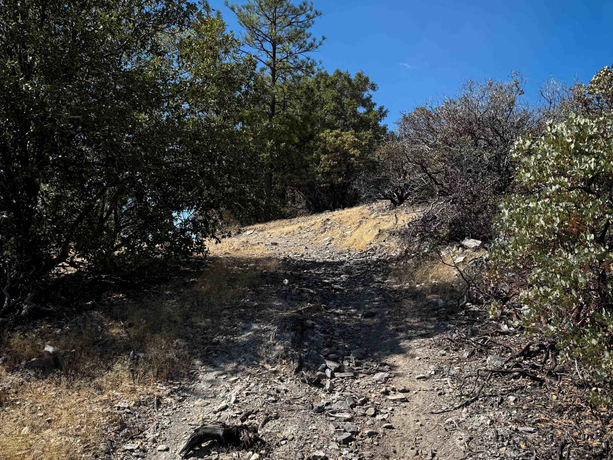 Trail 5-3 (11E54)  photo 6