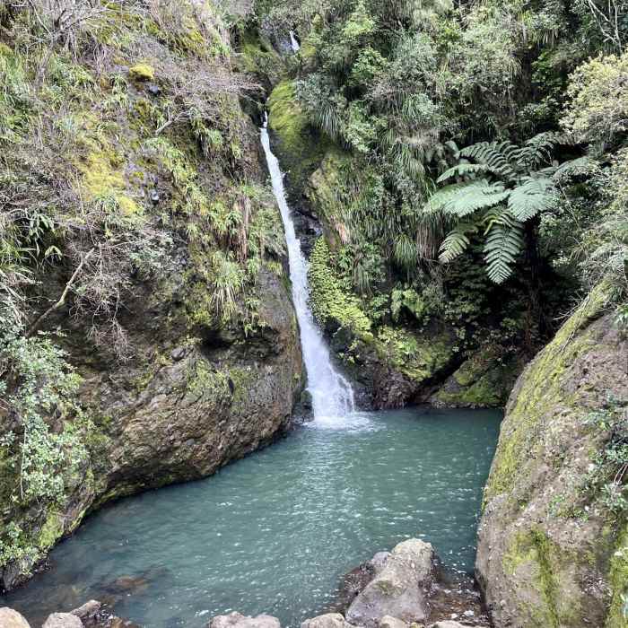 Near Karamatura Track to Mount Donald McLean