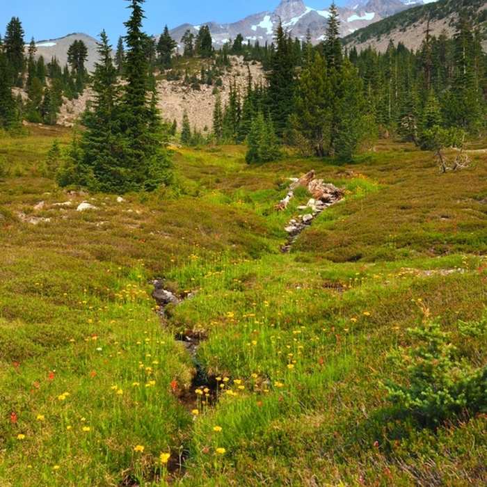 South Gate Meadows Near South Gate Meadows Trail