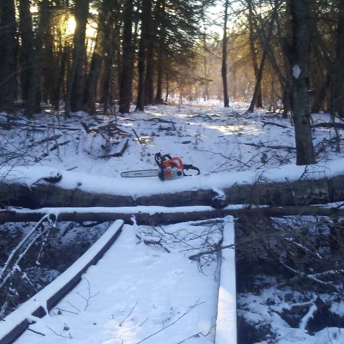 Near Twin Lakes Trail