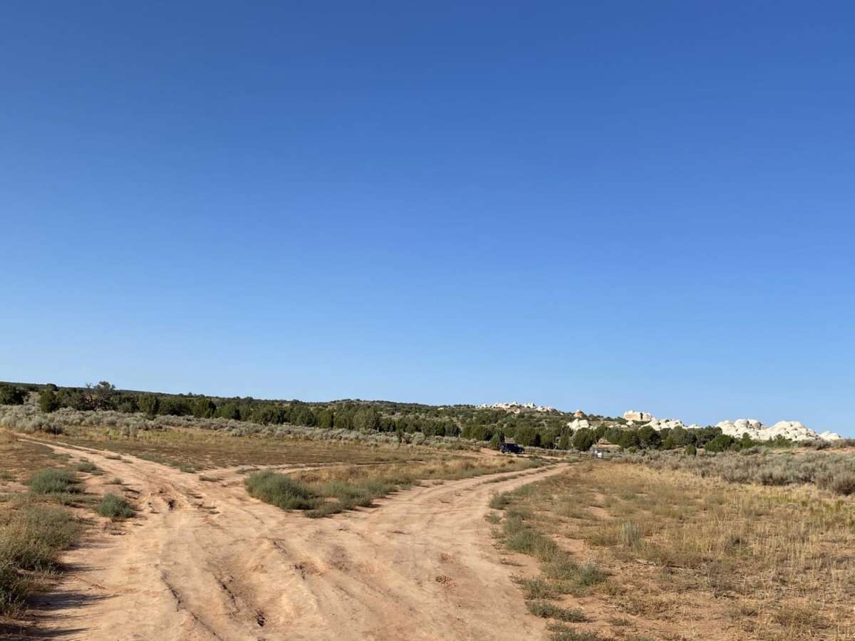 White Pocket Road photo 5
