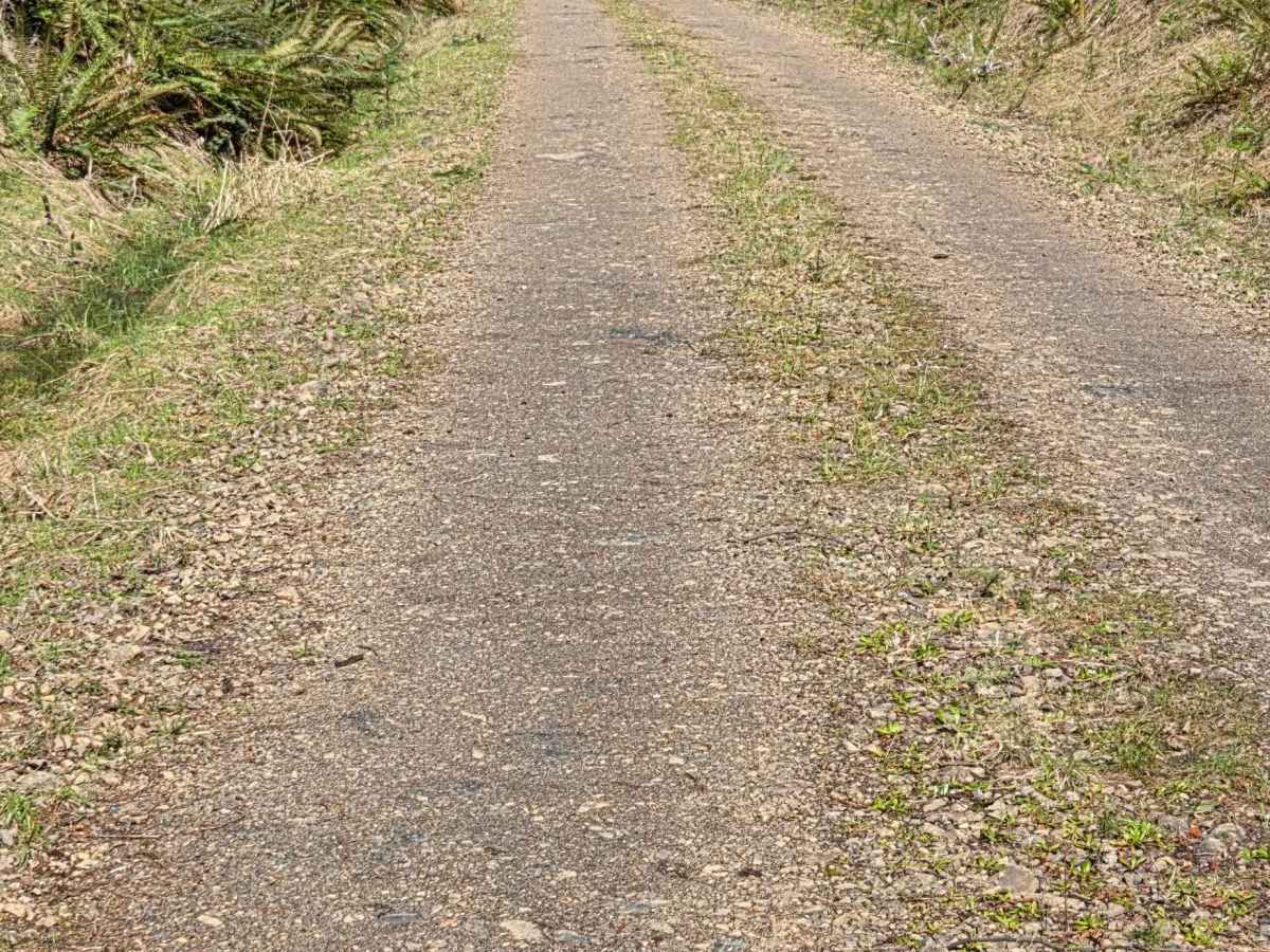 5625 trail photo