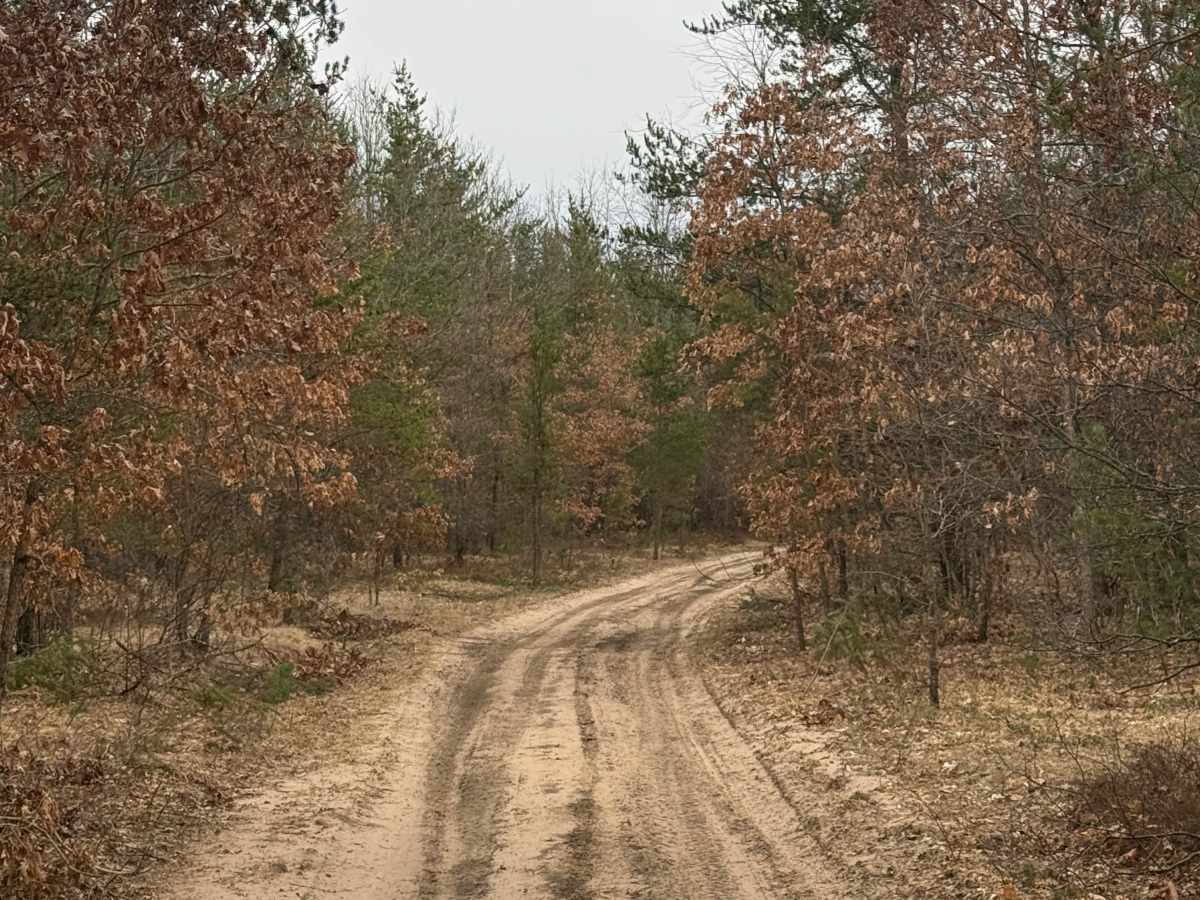 FS 5468 trail photo