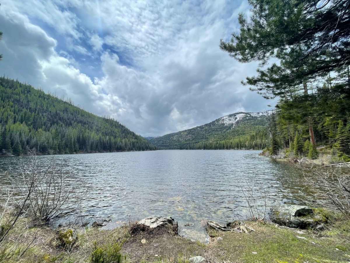 Lake Marshall trail photo