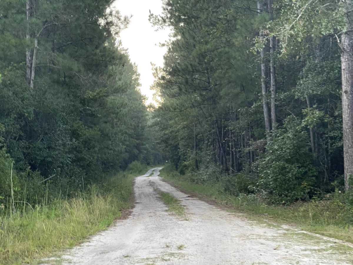 State Route 1553 photo 2