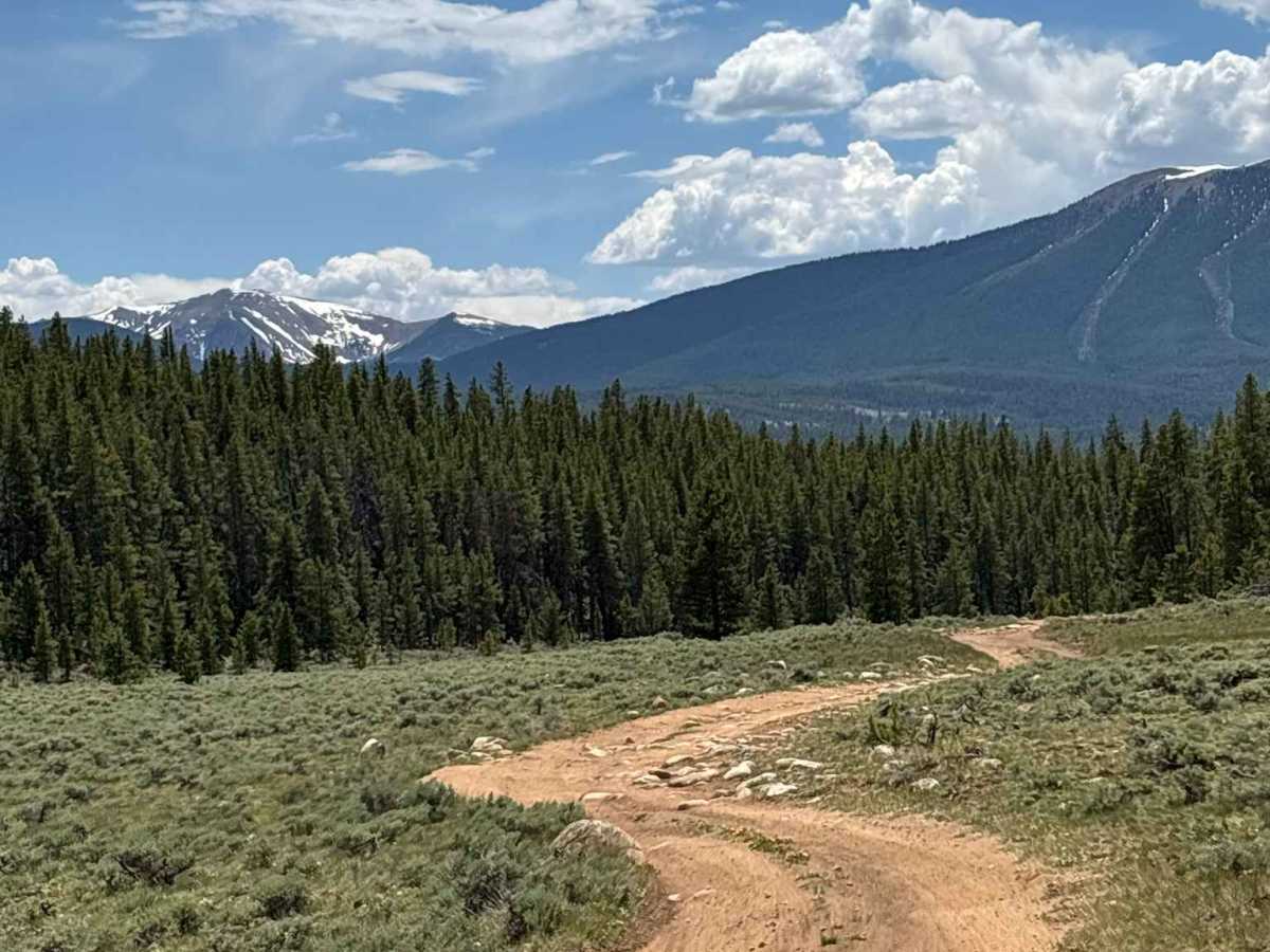 Adm Site Road trail photo