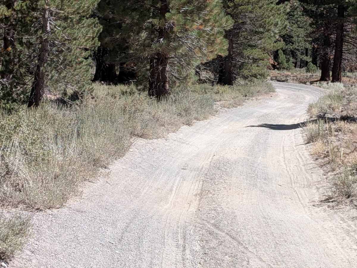 Forest Service Road 3S104 photo 6