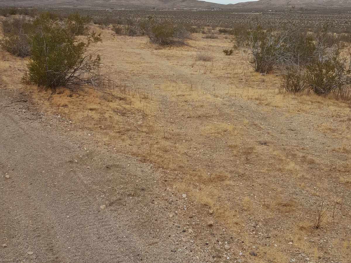 Outback Trail photo 3