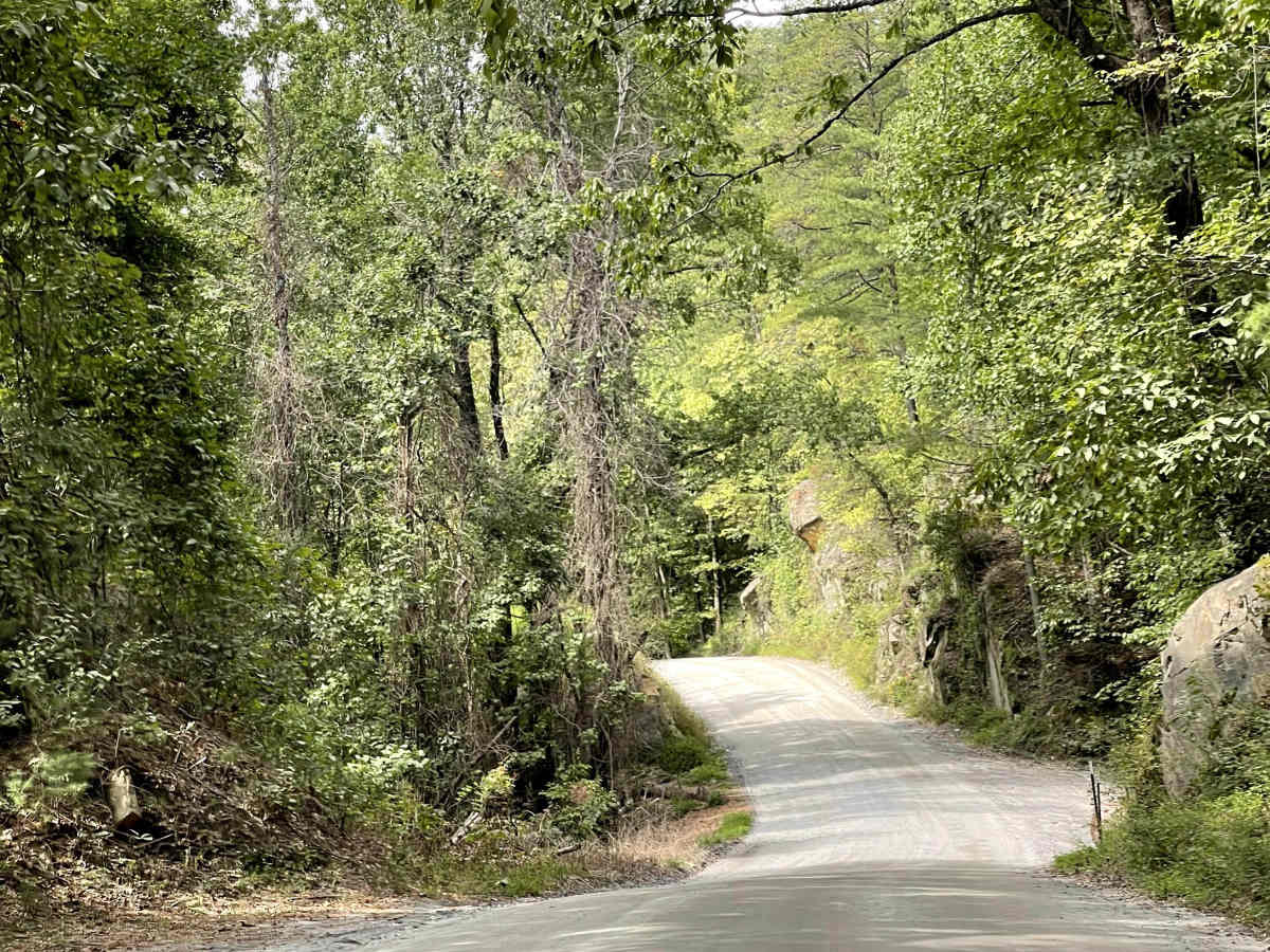 Brown Beach trail photo