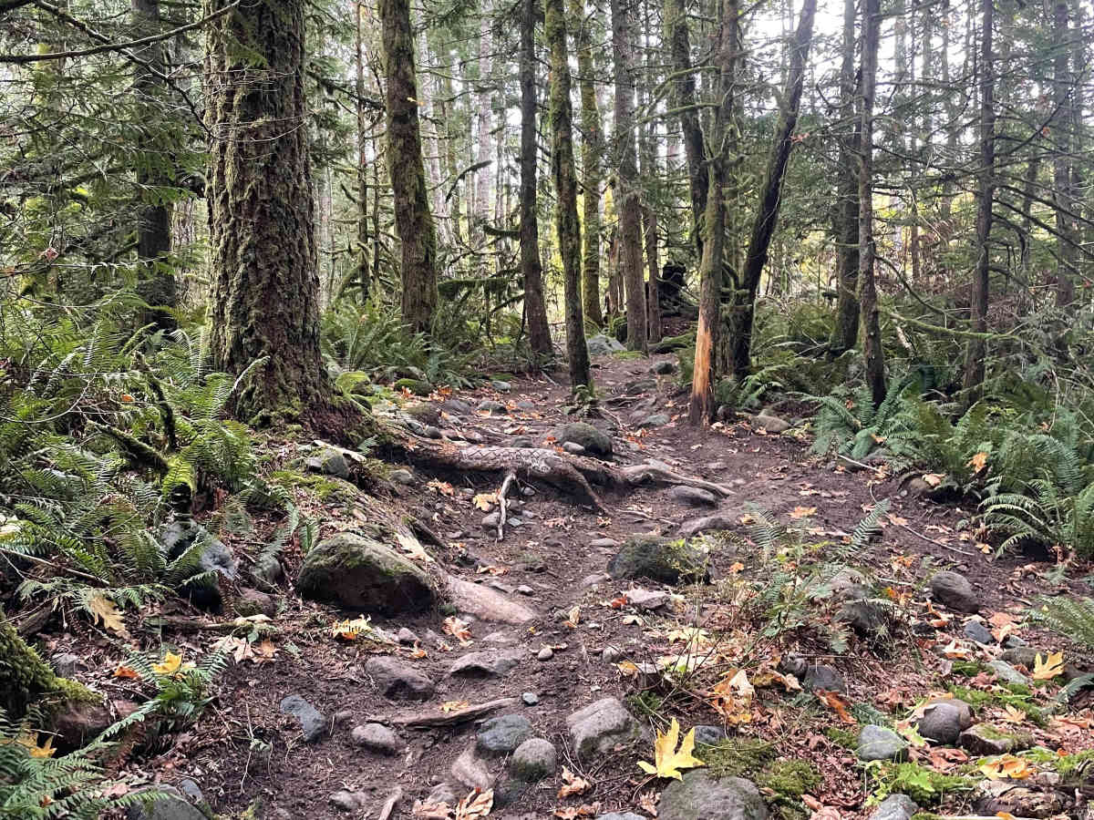 The Cobbler trail photo