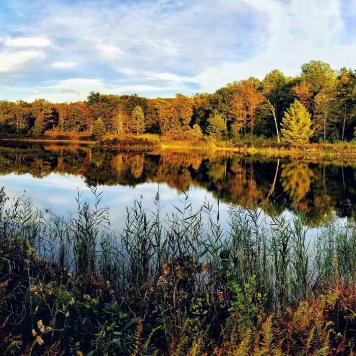 Coventry Pond in the golden light just prior to the sun setting. Near Coventry Pond Trail
