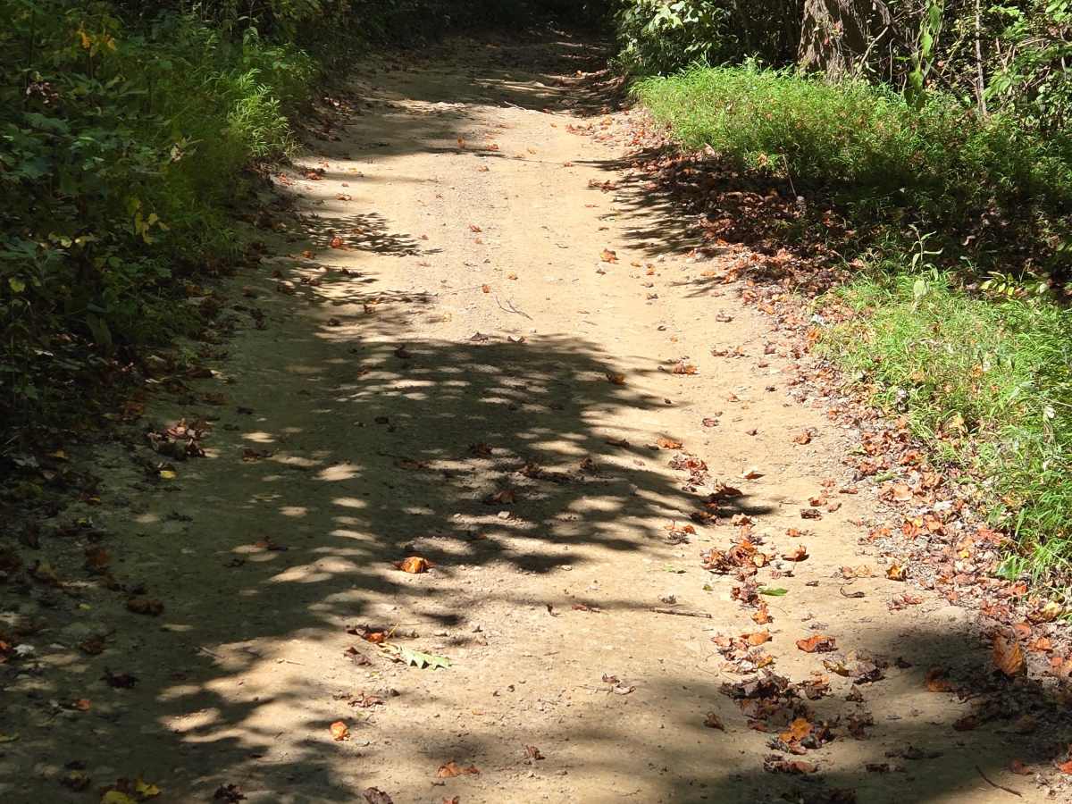 Trail 51 photo 2
