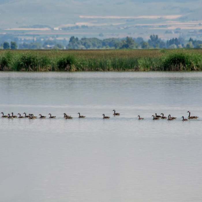 Near Benson Railroad Trail