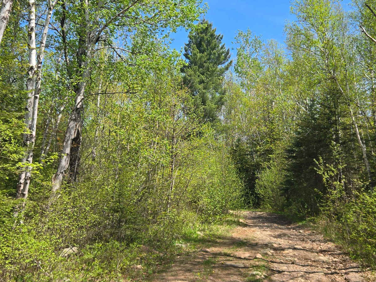Lost Lake Spur photo 2