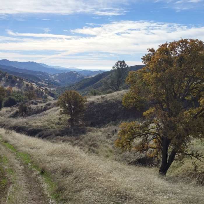 Near Long Canyon Trail
