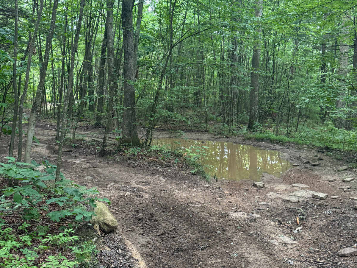 Trail 63 photo 5