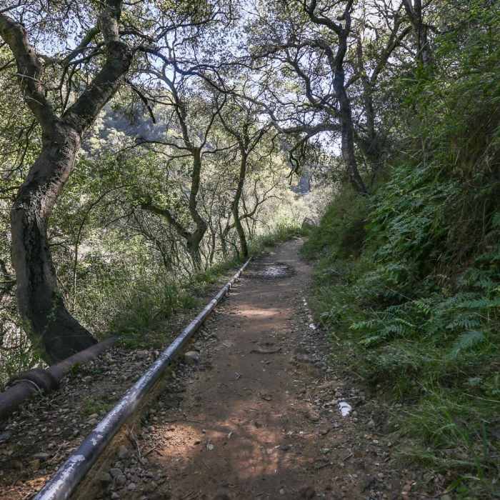 Near Tangerine Falls