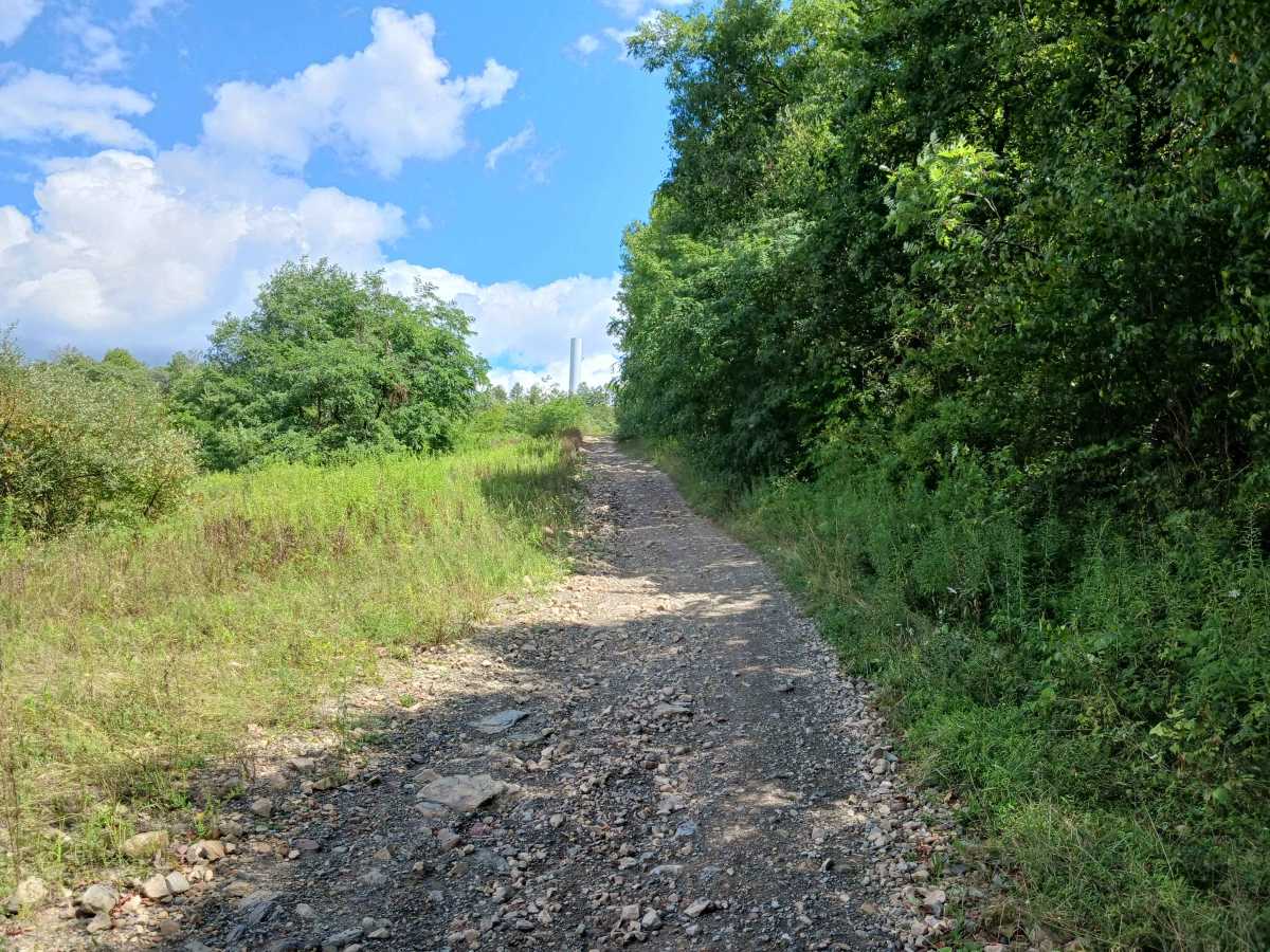Remediation Drive - Rock Run Recreation Area photo 6