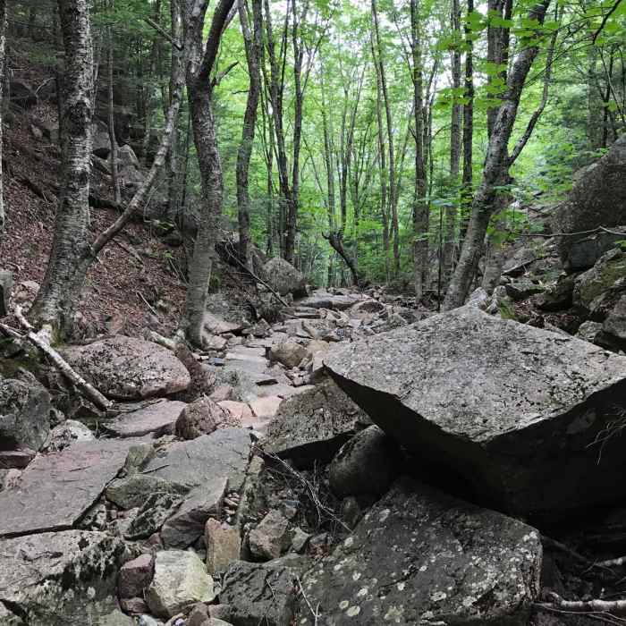 Near Cadillac and Dorr Mountain via the Gorge Path Near Cadillac and Dorr Mountain via the Gorge Path
