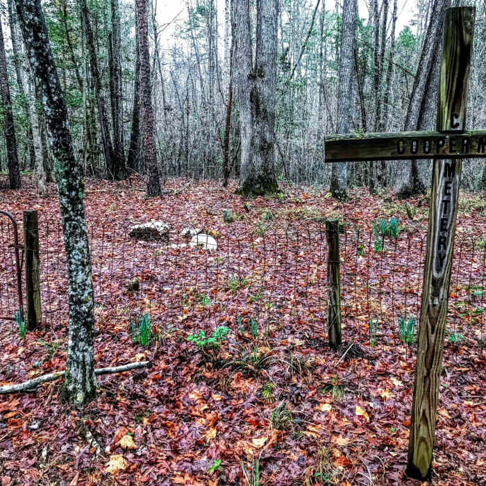 Near Cooper Cemetary Trail