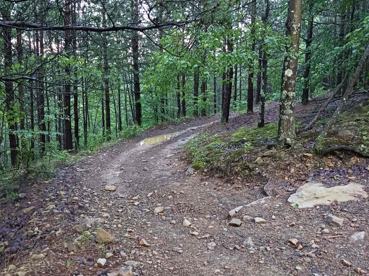 Trail 12T - Rock Run Recreation Area photo 2