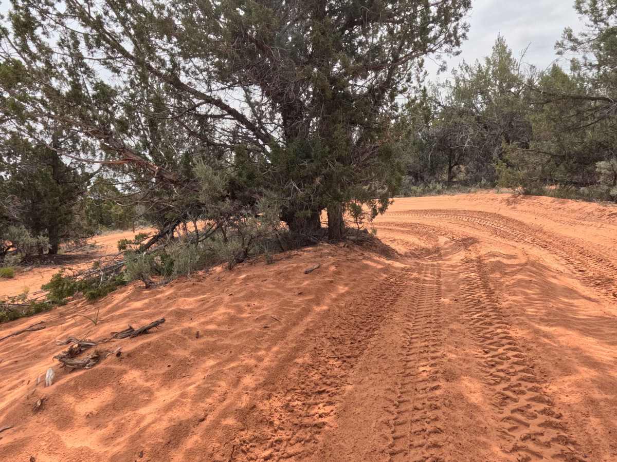 BLM 64J photo 6