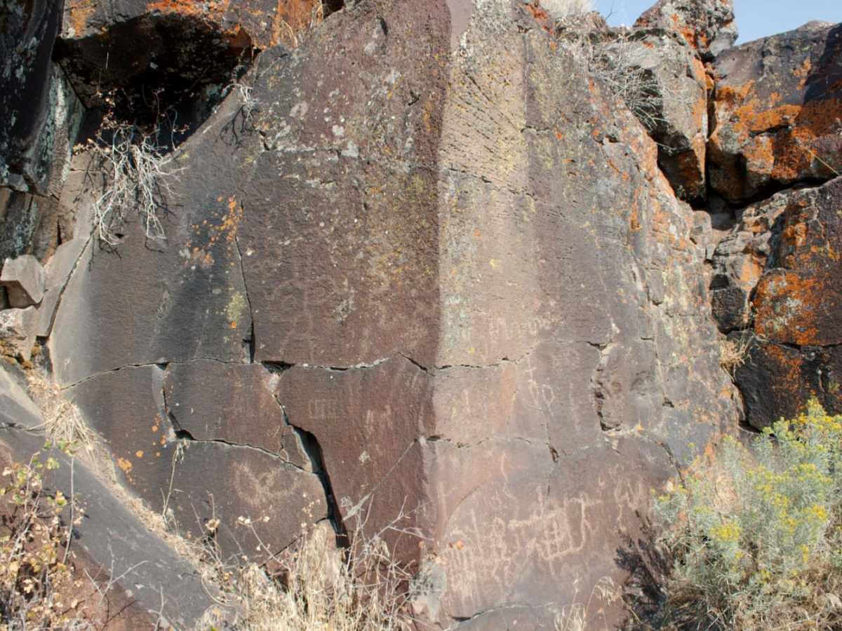 Hart Mountain Antelope Refuge photo 3