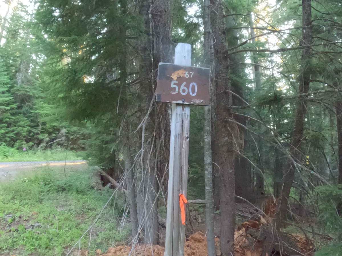 Parks Creek Road - FS 2067560  photo 2