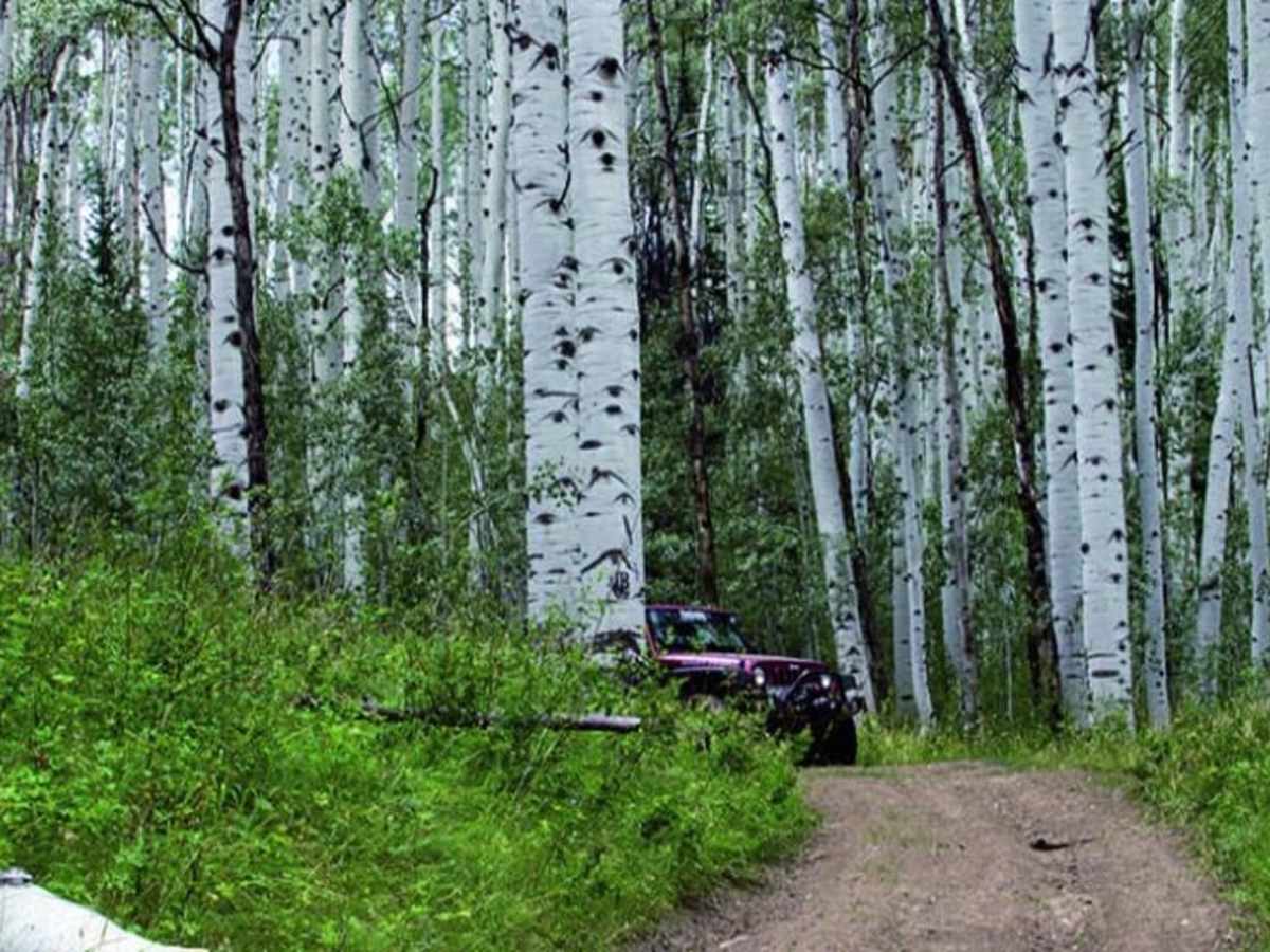Elkhorn Mountain photo 4