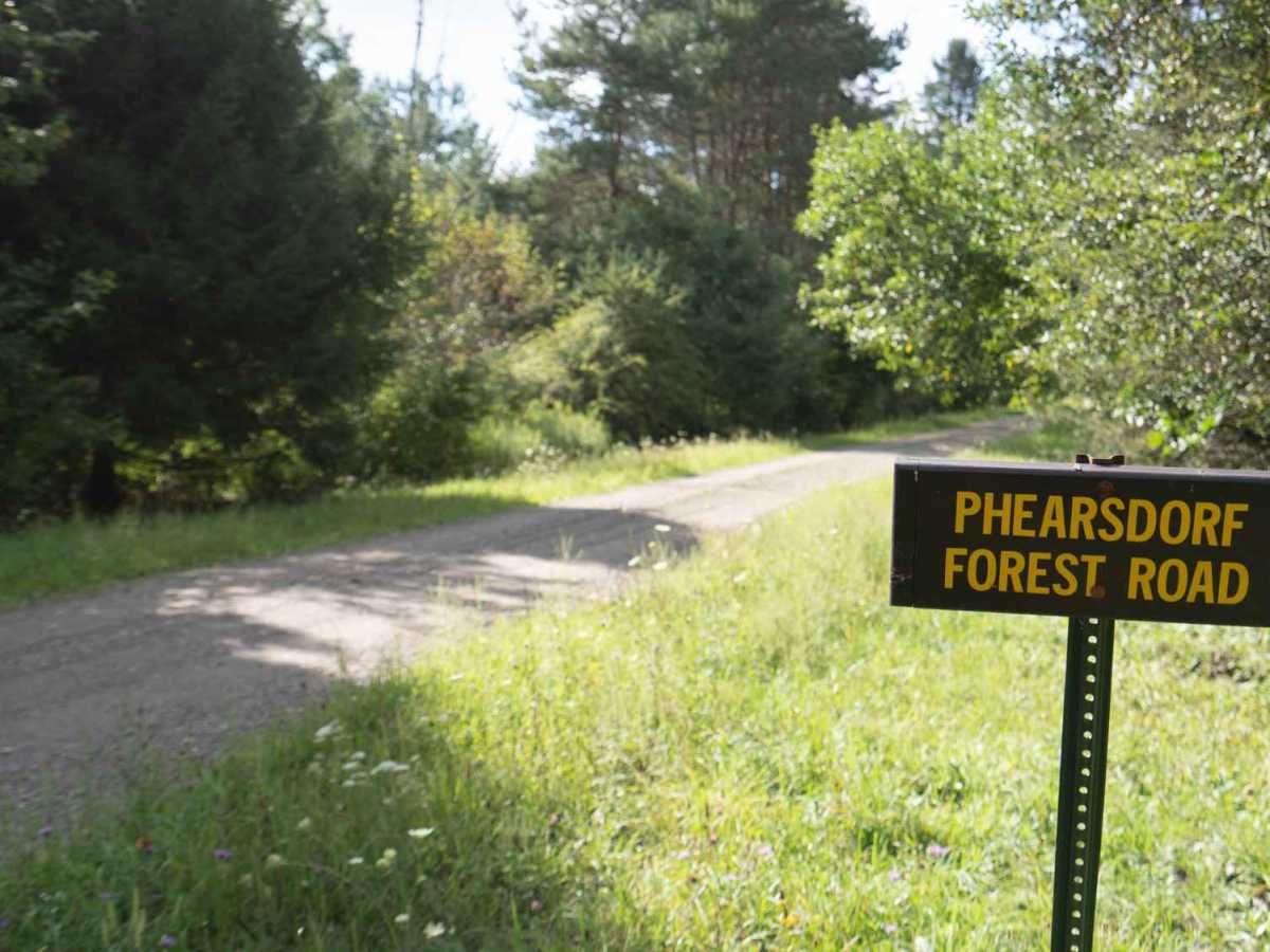 Phearsdorf Forest Road photo 2