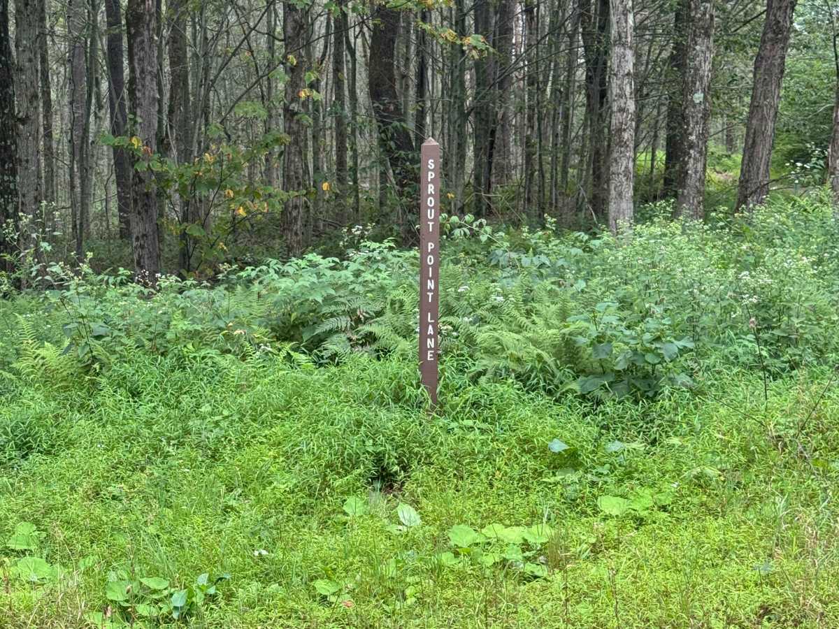 Sprout Point Road photo 2