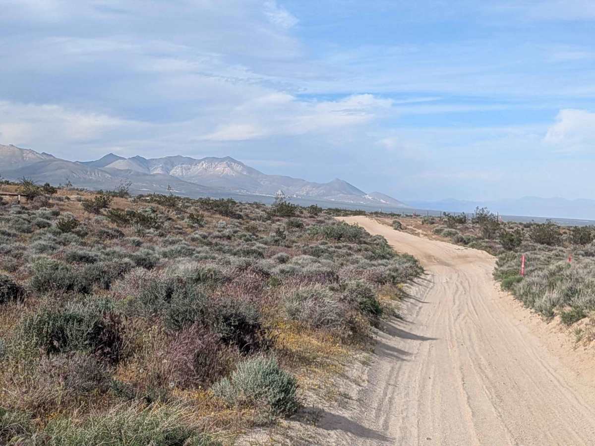 BLM SC5 Dove Springs OHV North photo 4