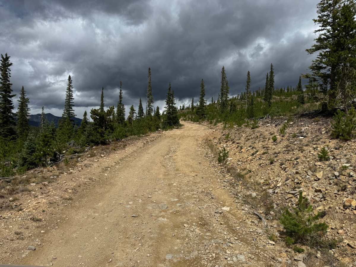 Gold Run Road photo 3