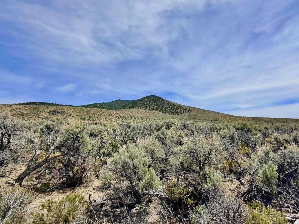 Streshley Springs FS42496 photo 2