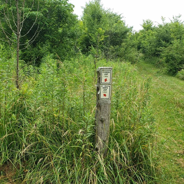 Near Schwede Loop