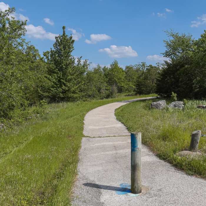 Near Low Bridge Trail