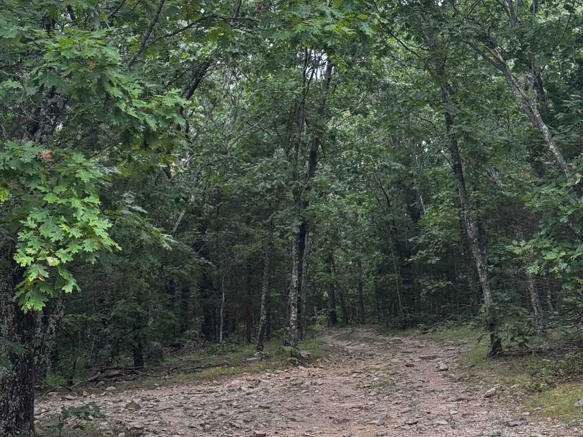 Southern Ridge Run  photo 2