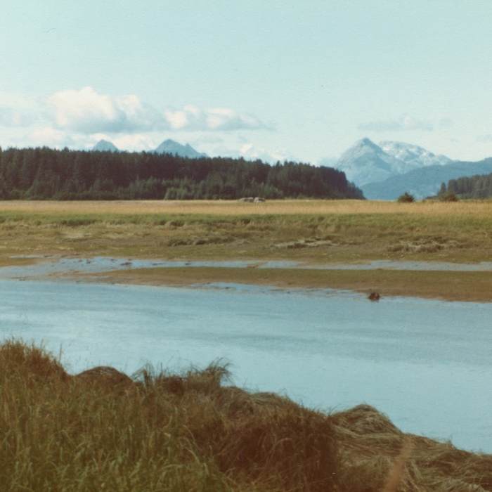 The tidal flats on the Bartlett River make a beautiful foreground to the Fairweather Range. Near Bartlett River Trail