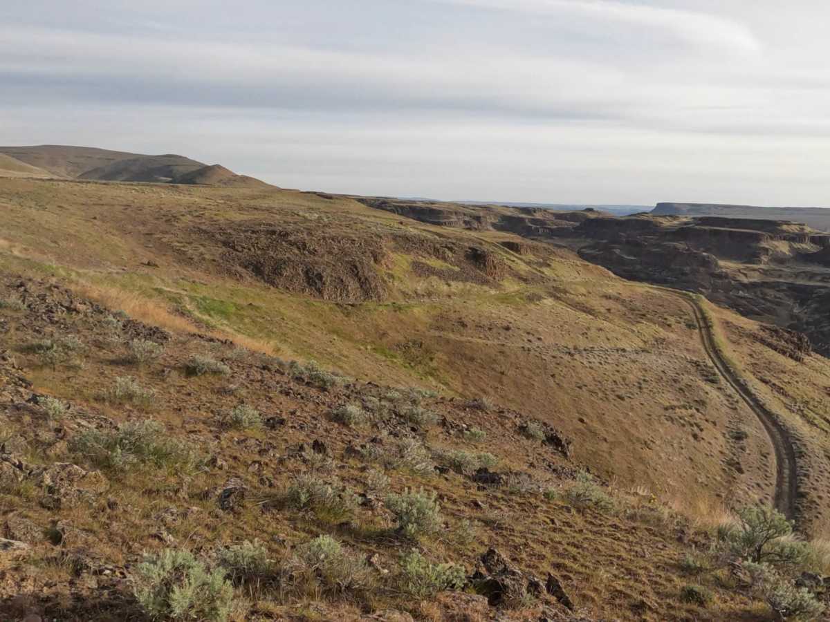 Cayuse Road photo 3