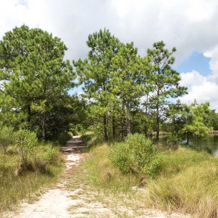 Near Pleasure House Point Trail