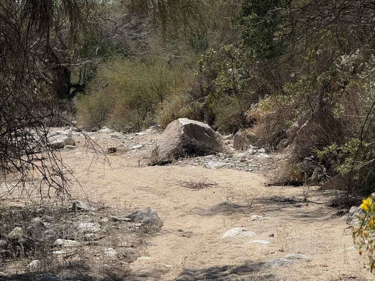 Hidden Valley Wash  photo 5