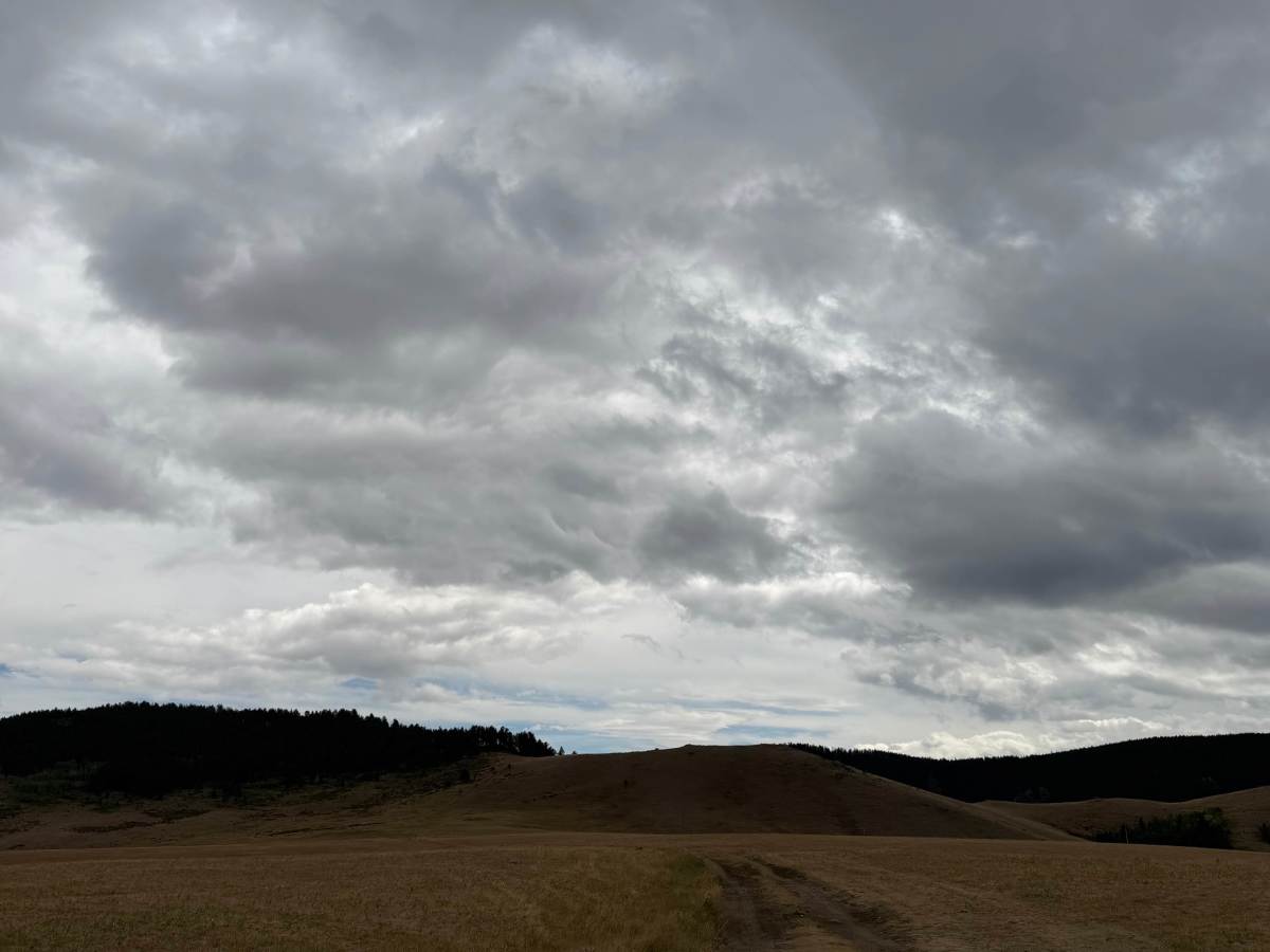 Grouse Mountain Meadow  trail photo