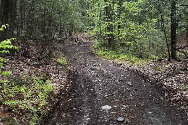 Charles Farnum Road